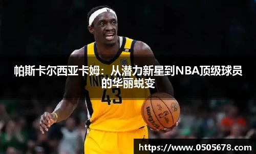 6686体育平台